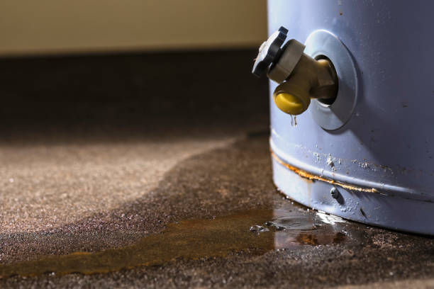 Best Flood damage cleanup  in South Haven, MI