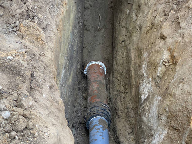 Best 24/7 water damage repair  in South Haven, MI