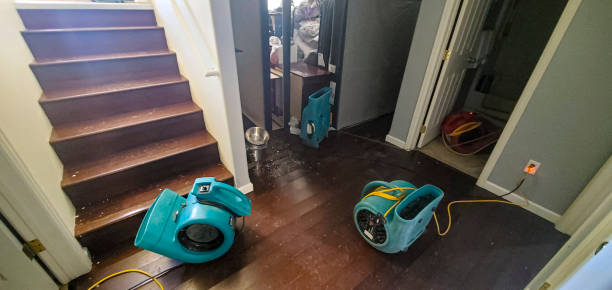 Best Commercial water damage restoration  in South Haven, MI