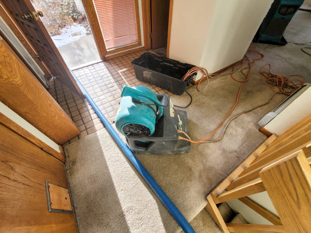 Best Professional water damage repair  in South Haven, MI