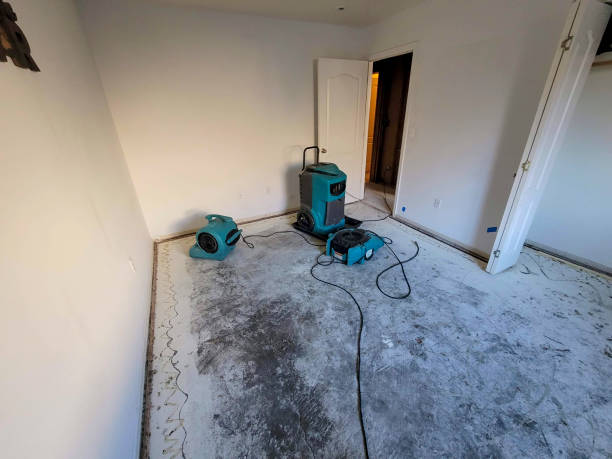 Best Basement water damage restoration  in South Haven, MI