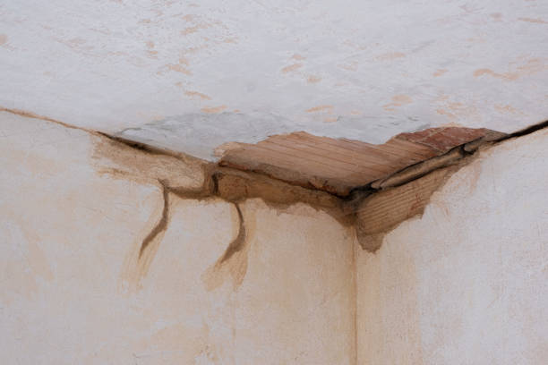 24/7 water damage repair in South Haven, MI