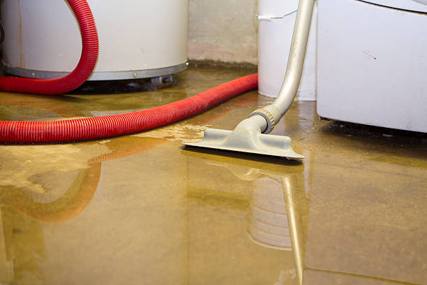Best Emergency water damage restoration  in South Haven, MI