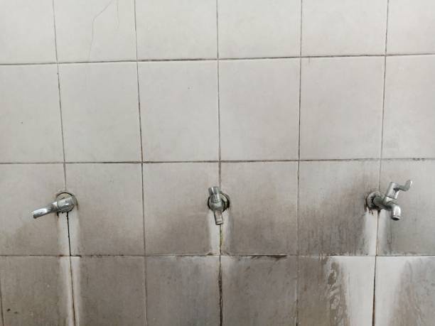 Best Water damage restoration near me  in South Haven, MI
