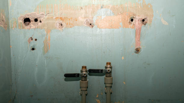 Best Water damage repair service  in South Haven, MI