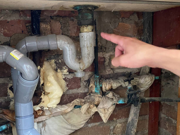 Best Flood restoration services  in South Haven, MI