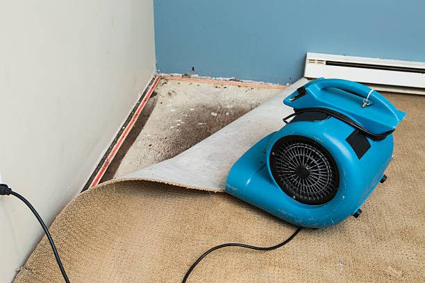 Best 24-hour water damage restoration  in South Haven, MI