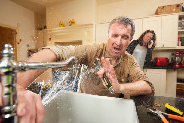 Best Water damage restoration near me  in South Haven, MI